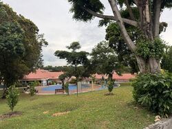 toh-yi-drive photo thumbnail #1